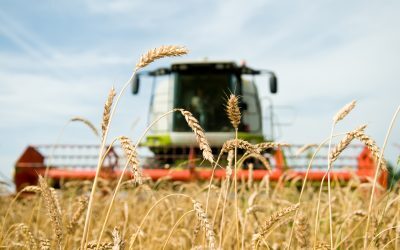 RO: 2026, un an bun pentru fermieri. De ce nu-l vedem la rafturi