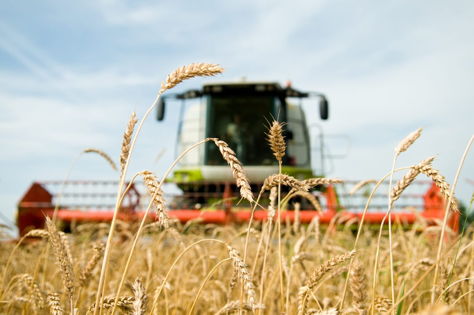 RO: 2026, un an bun pentru fermieri. De ce nu-l vedem la rafturi