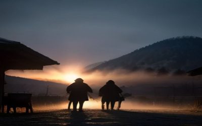 Secetă Cruntă în Bihor: Apă Raționalizată În Zece Localități