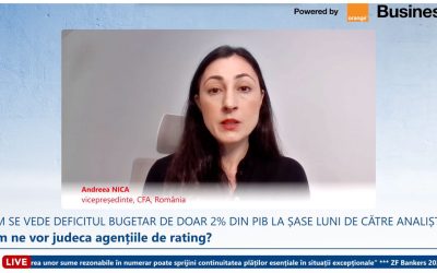 Afacerile strigă: Stabilitatea publică blochează banii. Există, dar nu circulă