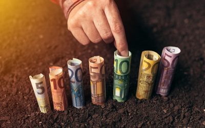 Fonduri UE 2026: Ferme mici, praguri de 50.000 EUR