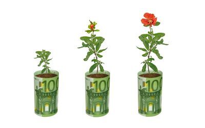 Fonduri UE: 100.000 EUR pentru flori, plante medicinale. Descarcă ghid AFIR