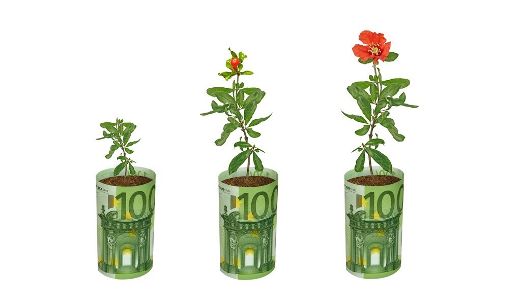 Fonduri UE: 100.000 EUR pentru flori, plante medicinale. Descarcă ghid AFIR
