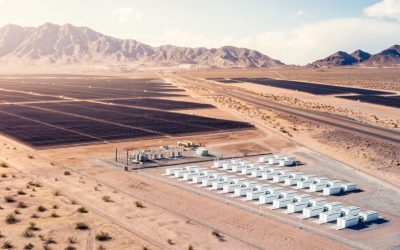 Musk combină Tesla cu AI: Supercomputerul gigantic, o miză uriașă