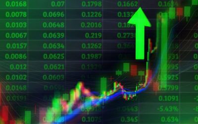 Europa: Profiturile companiilor, un refugiu pentru investitori