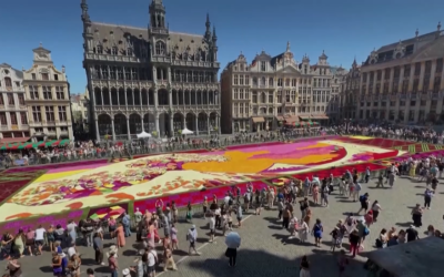 Bruxelles: Val uriaș de flori, omagiu la Kanagawa