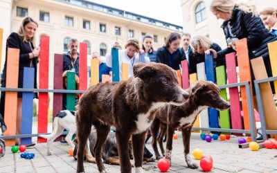 Președinția găzduiește summitul Animal România, septembrie