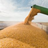 Ucraina transportă cereale prin Moldova spre Constanța