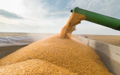 Ucraina transportă cereale prin Moldova spre Constanța