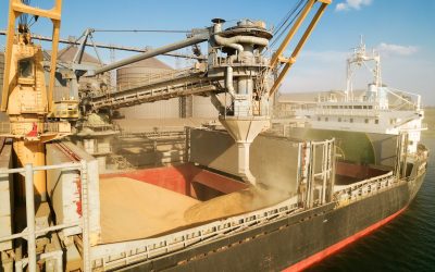 Ucraina vrea 220 mil. € de la UE pentru fermieri