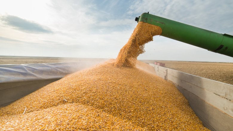 Ucraina transportă cereale prin Moldova spre Constanța