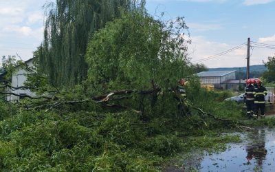 Căldură extremă și furtuni: Unde se dezlănțuie natura