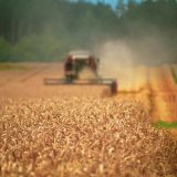 Ucraina cere UE 220 mil. Euro pentru fermieri, afectat de blocaj