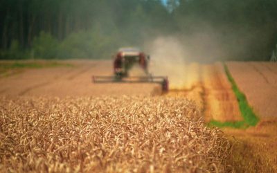 Ucraina cere UE 220 mil. Euro pentru fermieri, afectat de blocaj