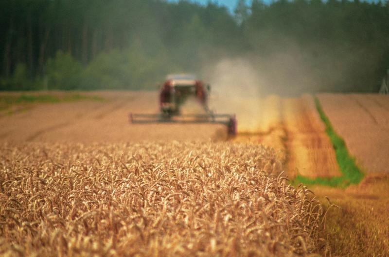 Ucraina cere UE 220 mil. Euro pentru fermieri, afectat de blocaj