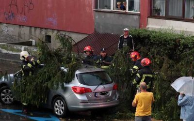 Brașov: Copaci la pământ după furtună și cod roșu