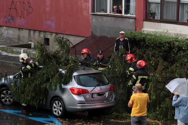 Brașov: Copaci la pământ după furtună și cod roșu