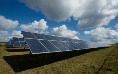 Aradul dă lovitura: Cel mai mare parc fotovoltaic din Europa, autorizat