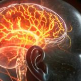 Aliment banal, demență? Riscul crește cu două porții/săptămână