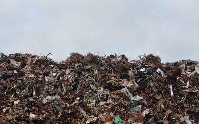 Firma cu deșeuri, interzisă pe 4 hectare. Legături cu procurorul Niță