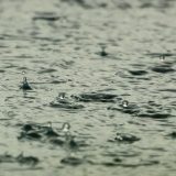 Ploi neașteptate: Când scapă România de caniculă