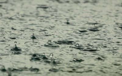 Ploi neașteptate: Când scapă România de caniculă