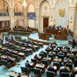 Fritz, în pericol? Senatul votează ANI cu amendamente PSD și AUR