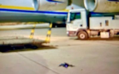 Rusia acuză provocare la Leipzig: „Înscenată!”