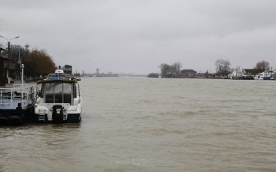 Ucraina, blocată la Sulina: Exporturile de cereale, în impas din cauza lipsei piloților