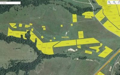 E-Terra repornește! Prima zi: Acte din perioada blocării