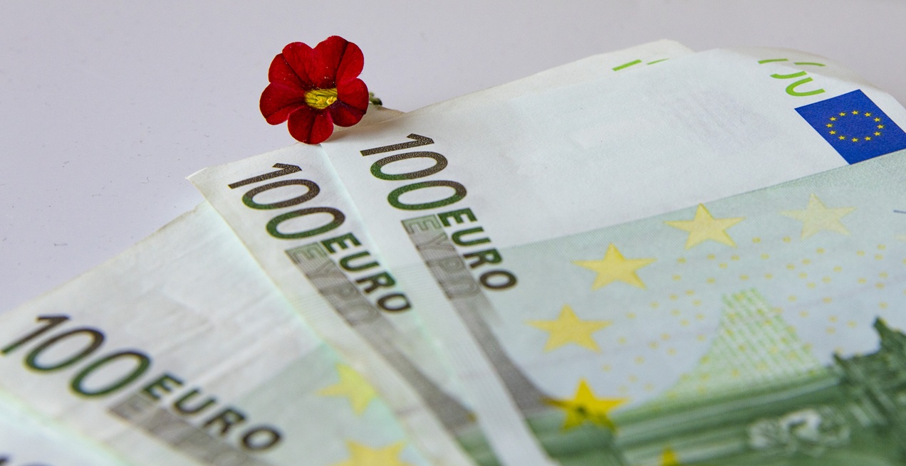 AFIR: 5 milioane EUR pentru flori și plante medicinale din septembrie