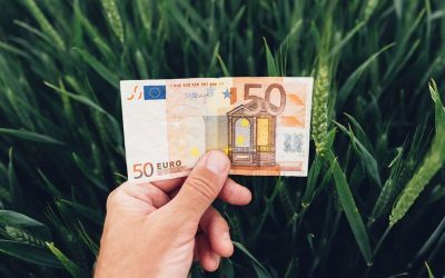 Fonduri UE 2026: 50.000 EUR pentru ferme mici, ghid AFIR aici