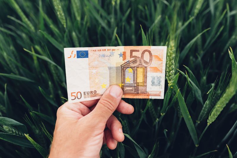 Fonduri UE 2026: 50.000 EUR pentru ferme mici, ghid AFIR aici