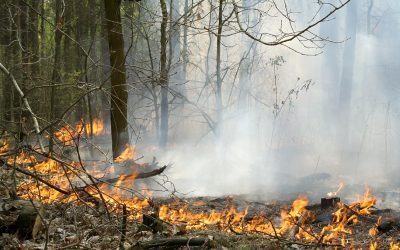 Incendiu în sud-estul României după explozia unei drone