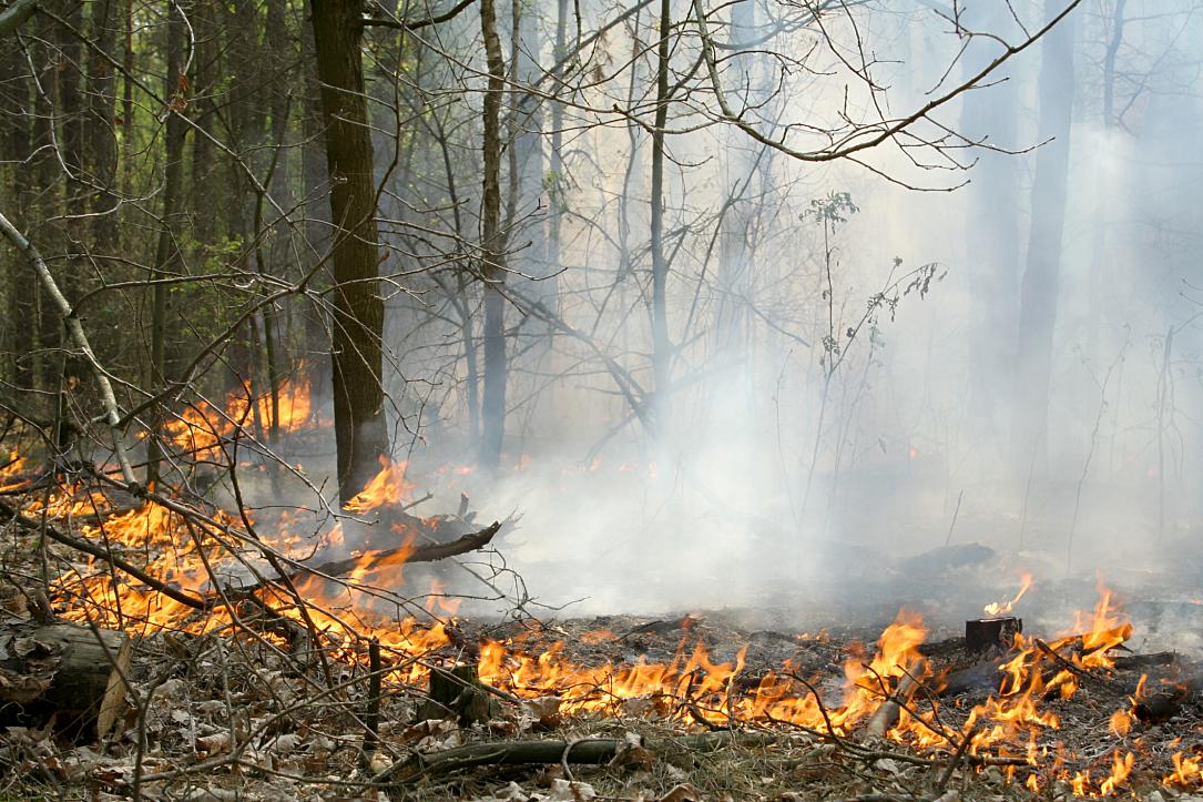 Incendiu în sud-estul României după explozia unei drone