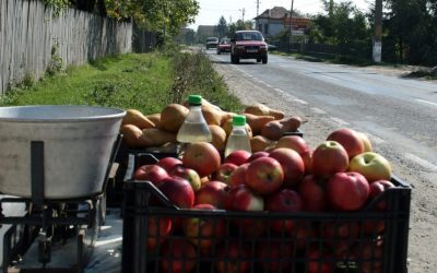 S-au închis tarabele! Amenzi grele la vânzătorii de legume de pe drum