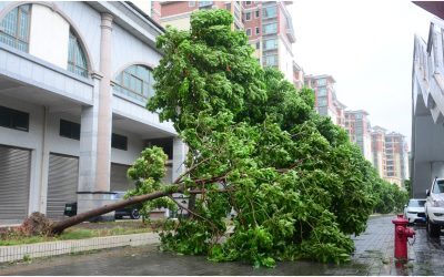Un milion de chinezi pe drum, evacuați de urgență