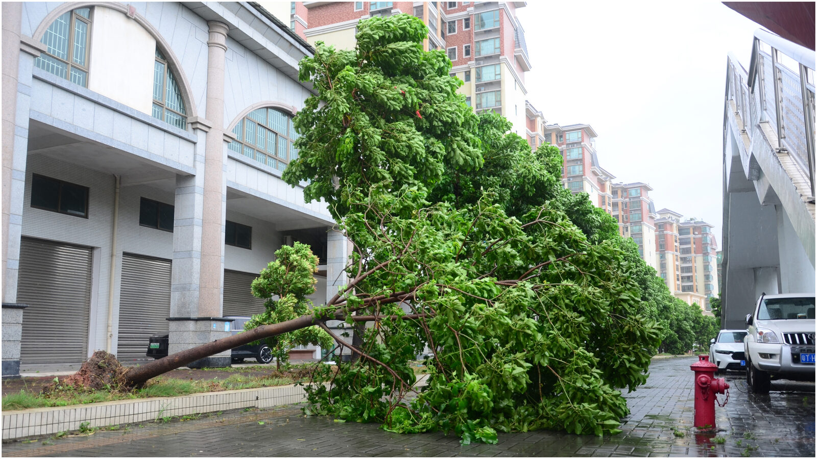 Un milion de chinezi pe drum, evacuați de urgență