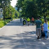 Arbori marcați de tăiere. Primăria să-i asculte pe oameni