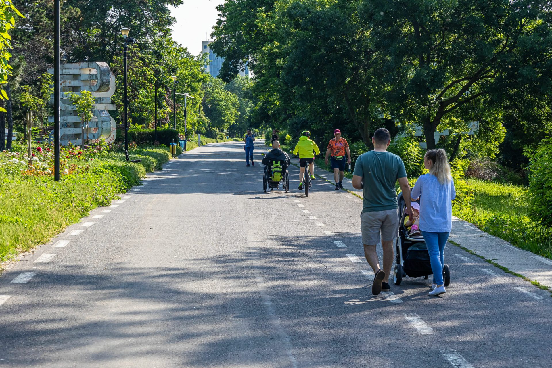 Arbori marcați de tăiere. Primăria să-i asculte pe oameni