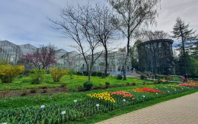 Prima Grădină Botanică din România: O istorie inedită