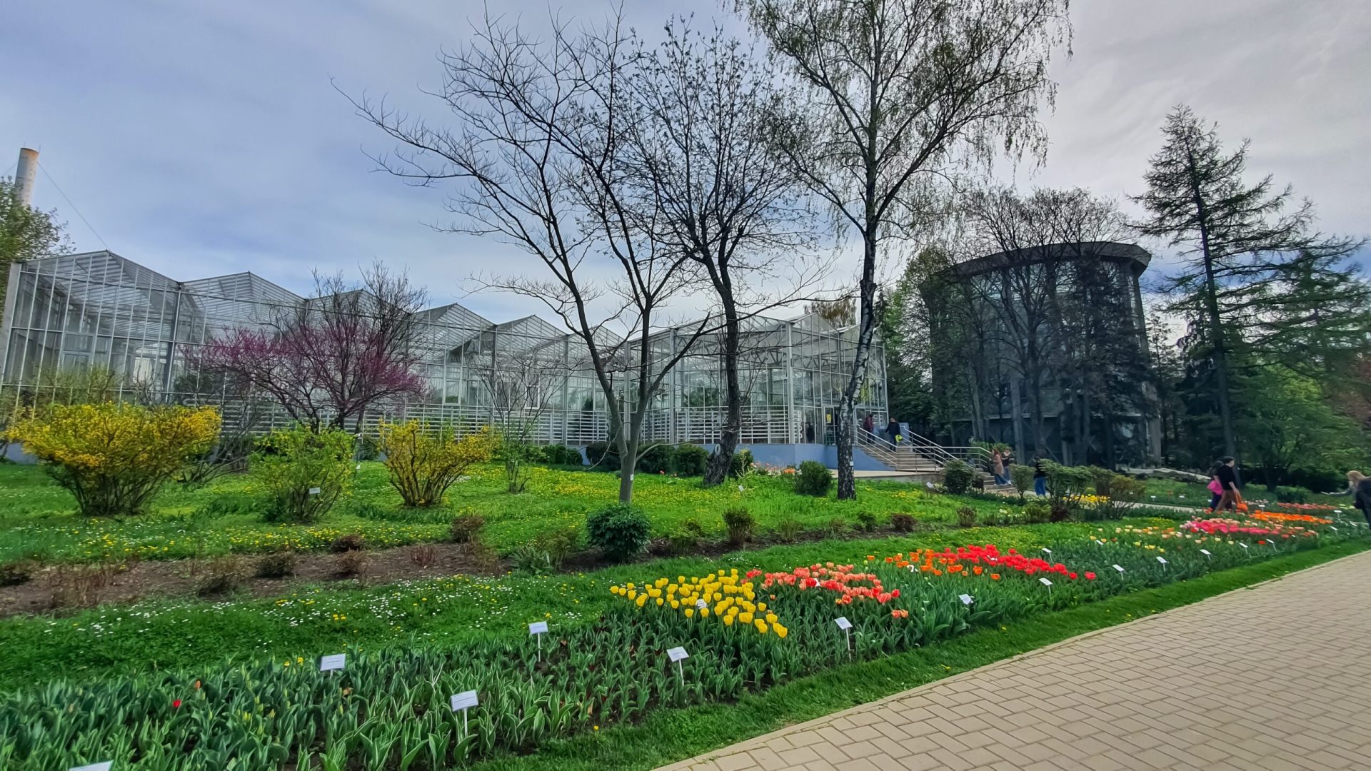 Prima Grădină Botanică din România: O istorie inedită