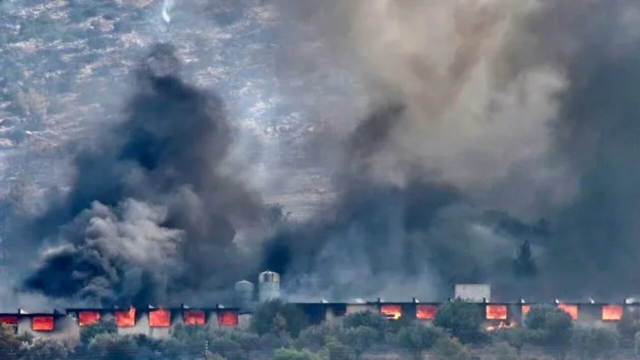 Incendii lângă Atena: Grecia sufocată de căldură și flăcări