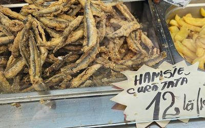 Hamsii la mare: O minciună prăjită pe litoral
