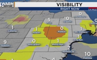Ceață densă paralizează transportul, furtuni revin în Sud-Estul Michigan