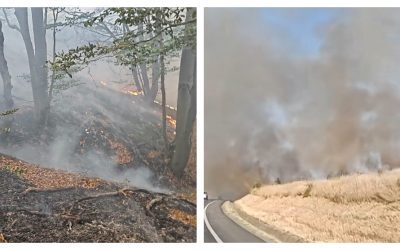 Munții ard lângă Băile Herculane. Peste 250 hectare, flăcări și sute de eroi