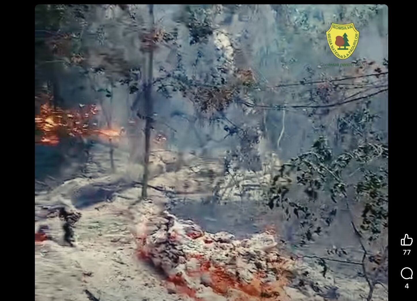 Plauru: Incendiu de la dronă, Romsilva confirmă