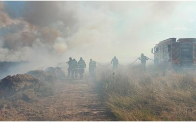 Sibiu: Foc pe Valea Avrigului. Intervenție rapidă a pompierilor