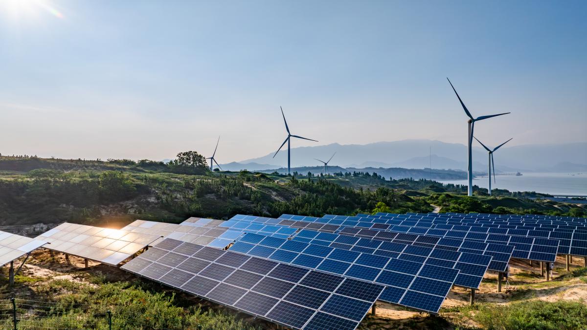 România: Fotovoltaicele, gigantul energetic al zilei de vineri