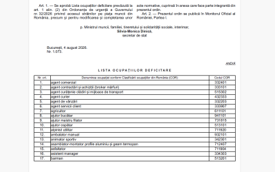Străinii non-UE primesc noi joburi în România